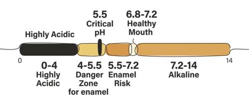 A graph showing the range of pH in the mouth, with low acidity propmting higher risk for demineralization..