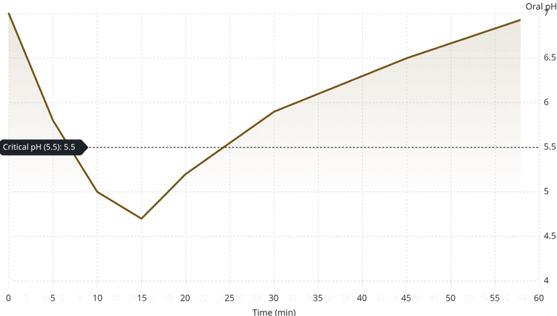 The Stephan Curve shows pH drops sharply after eating, dips below the critical threshold, then slowly recovers as saliva buffers the acid.